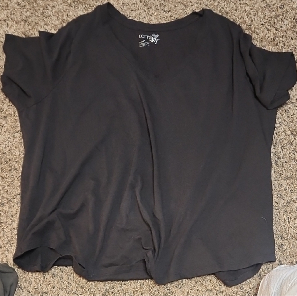 Terra & Sky Black V-Neck Short Sleeve Top XX2I